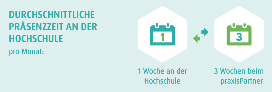 Prasenzzeit Dentalhygiene